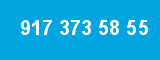 917 373 58 55 917 373 58 55